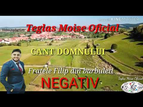 Negativ Filip din