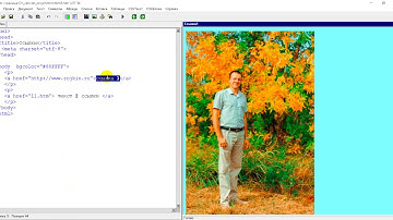HTML.  Урок 5.  Ссылки в HTML.  Часть 2.  Текстовые ссылки.  Рисунки.   Е майл.  Якоря.