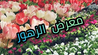 معرض زهور الربيع وأخر التطورات الخاصة به بسبب #فيروس_كورونا