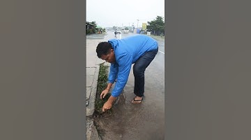 Importance Clean Culvert Drain May Be You Don`t Know #unclog #clean #culvert #remove #shorts