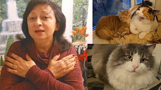 ⁉️КОМУ МЫ НУЖНЫ 🤷ПЕЧЕНЬ ИНТЕРЕСУЕТ ? 26.10.25.