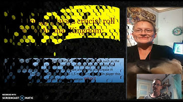 BCIS 1305 Video/ Animials