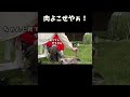 肉よこせやぁ