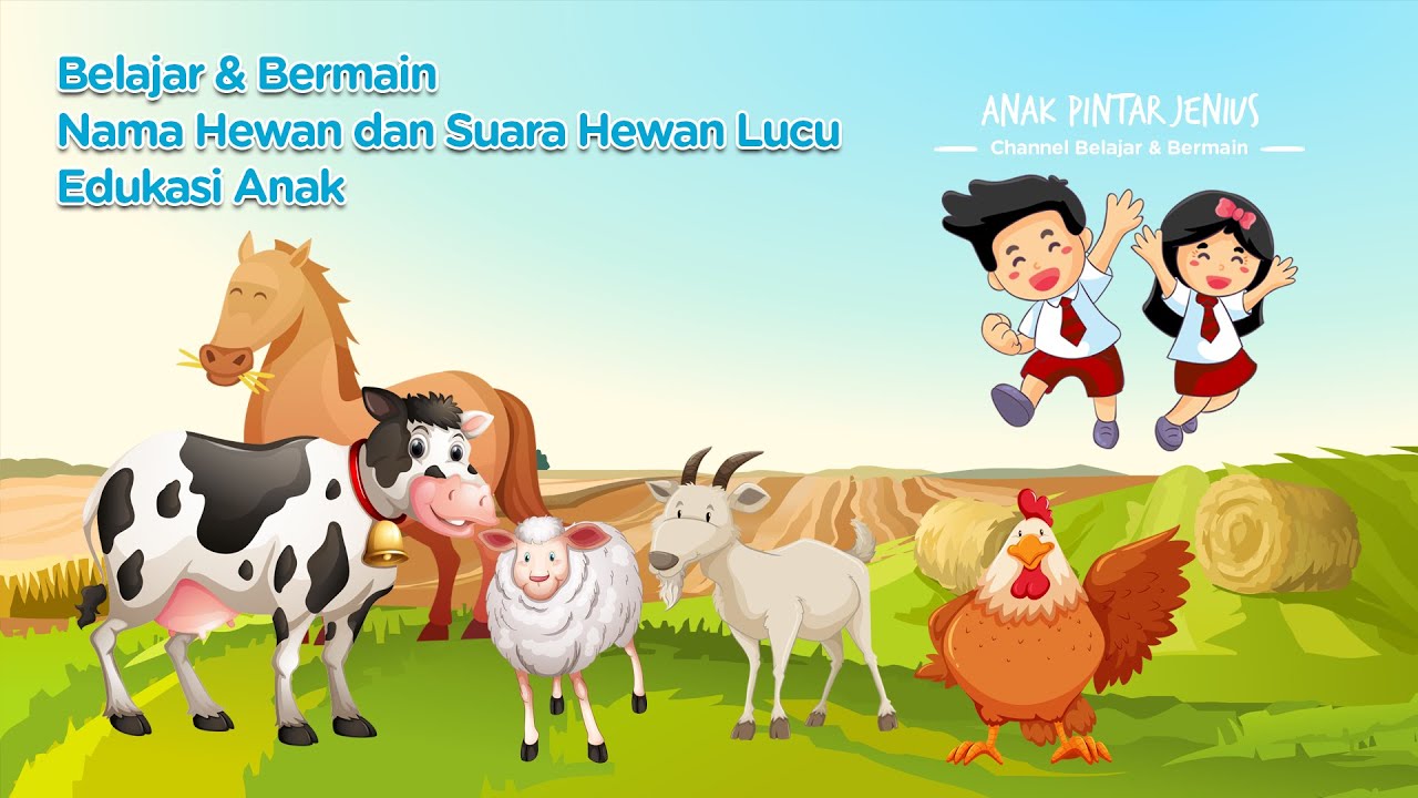  01 Nama  Hewan  Ternak dan Suara Hewan  Ternak Lucu  