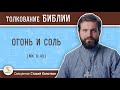 Огонь и соль (Мк. 9:49). Священник Стахий Колотвин