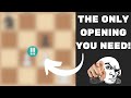 The BEST opening for beginners