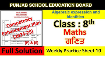 pseb competency based paper class 8th maths worksheet 10 test 2024