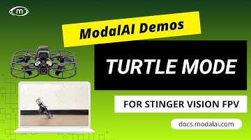 Stinger Vision FPV Turtle Mode