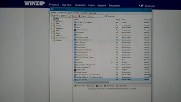 D-Fend Reloaded MS-DOS games automatic installation