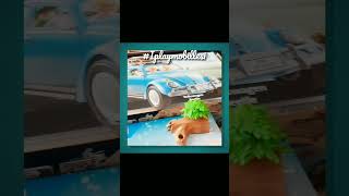 I Miei Acquisti Playmobil