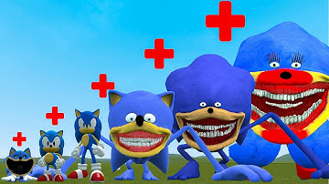 EVOLUTION OF ALL SONIC SMILING CRITTERS POPPY PLAYTIME CHAPTER 4? In Garry
