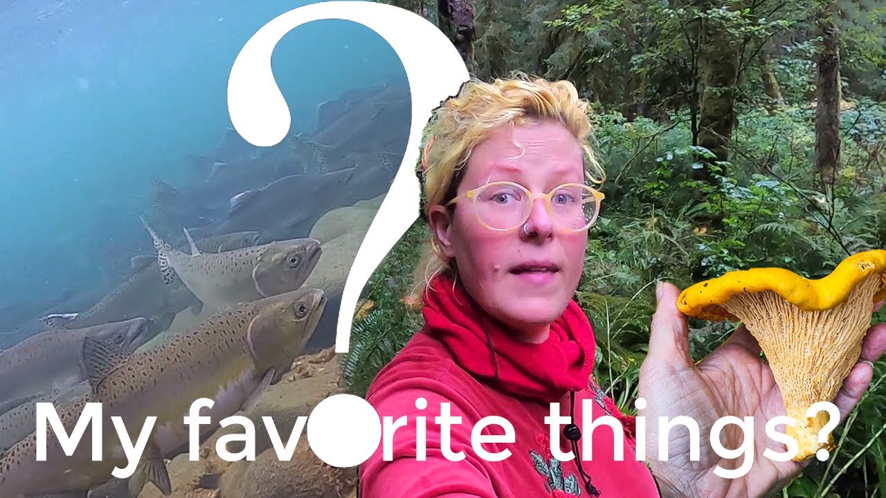 Salmon run swim & Mushroom Foraging Vancouver Island Adventures