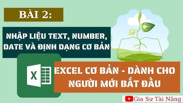 Excel cơ bản - Bài 2: Nhập liệu kiểu text, number... và định dạng cơ bản trong excel