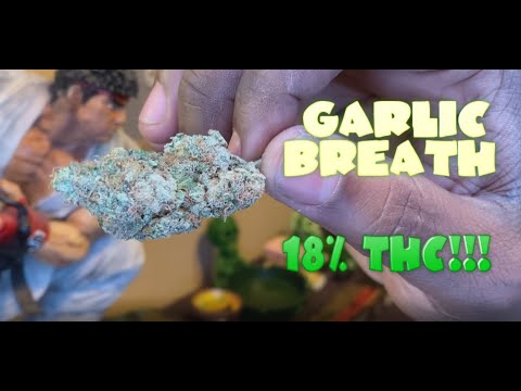 Weed Smoking Session #29 - Garlic Breath