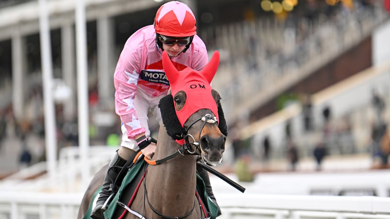GO DANTE registers consecutive Imperial Cup wins!