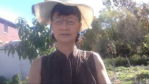 Hypothesis tests for a population mean - Part 1 of 2