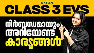 Class 3 EVS | നിർബന്ധമായും അറിയേണ്ട കാര്യങ്ങൾ....| Xylem Class 3