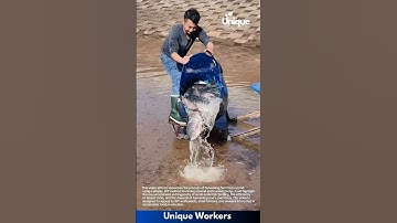 Harvesting fish: a simple pond harvest with a barrel