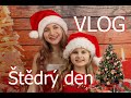 Adéla a Niky Zouharovy - Štědrý den - VLOG