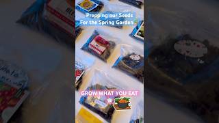Prepping our Spring Garden Seeds | Plant what you eat #learning #gardeningforkids #plants
