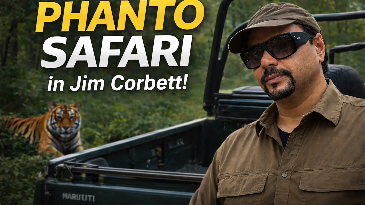 Phanto Safari ! Epic Great Hornbill Sighting ! Safari Near Jim Corbett National Park ! Corbett Tiger