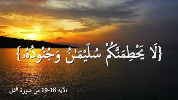 قرآن كريم بصوت محمد اللحيدان | حالات واتس اب دينية