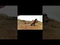 Extreme RC Crawler Off-Road in Madeira! ⛰️ Stunts and Rollovers!RC Crawler ⛰️ Manobras e capotagens!