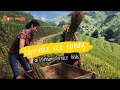 Experience rice farming on north vietnam terrace fields  zonitrip