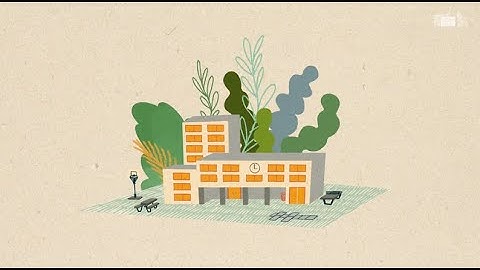 School Learning Environments for Sustainability