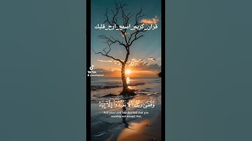 #بسم_الله_الرحمن_الرحيم #آيات #قرآن   #اكسبلور #دويتو #ترند #لايك