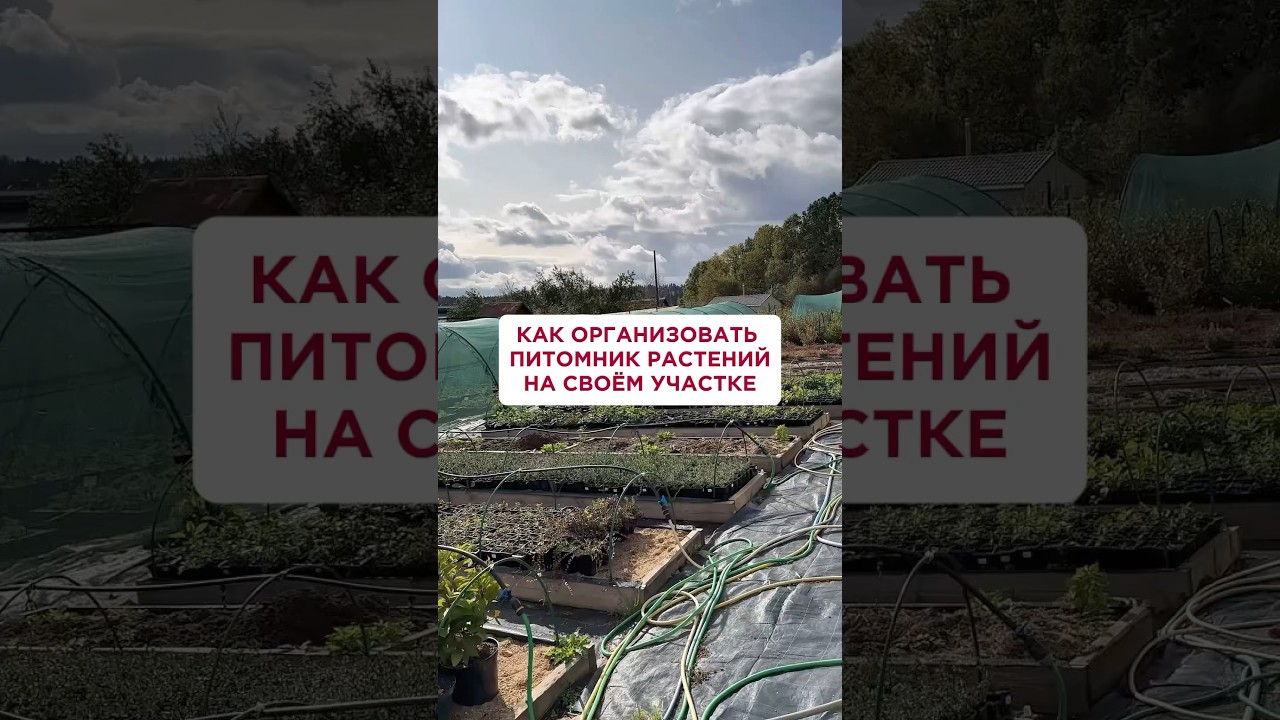 Тг канал Реальный питомниковод 