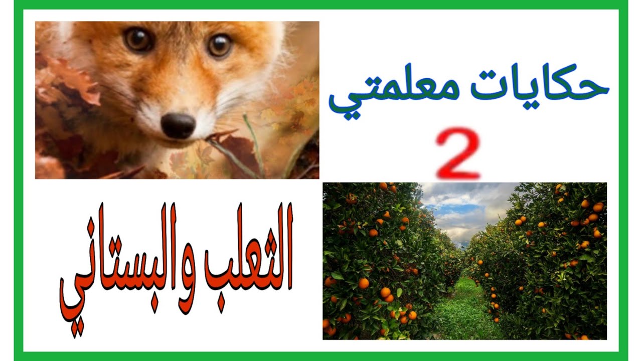 سلسلة حكايات معلمتي -  قصة الثعلب والبستاني