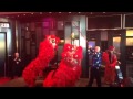 Lion Dancers Bring in the Year of the Horse at Maryland ...