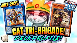 Yu-Gi-Oh! UPDATED CAT TRI-BRIGADE DECK PROFILE! CHANGES + COMBO TUTORIAL! JULY 2021! POST YCS BUILD!