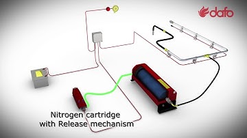 Dafo System Overview