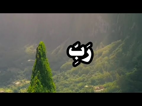 ر ب إ ن ي ل م ا أ نز ل ت إ ل ي م ن خ ي ر ف ق ير