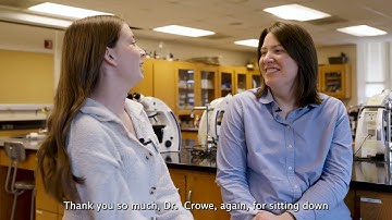 Neuroscience Major: Exploring the Human Brain and Beyond