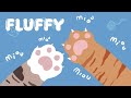 ADORABLE MOMENT OF CAT FAMILY 🐾