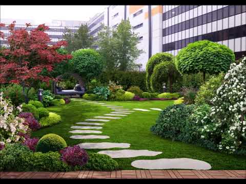 Video: Design del giardino giapponese: cos'è un giardino giapponese