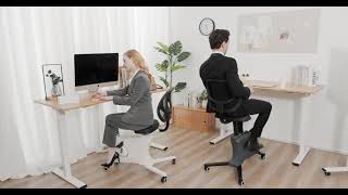 Flexispot Fitness Chair Sit2Go - A Chair To Boost Your Energy