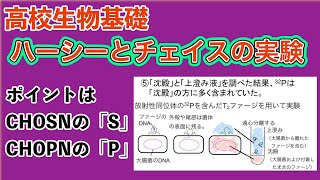 高校生物基礎「ハーシーとチェイスの実験」