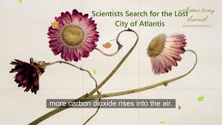 Bibabibo Chanel Learning English Everyday Scientists Search For The Lost City Of Atlantis