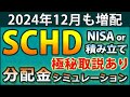 【毎月どのくらいもらえる?】SBI・SCHDの運用開始を記念して、SCHDの分配金をシミュレーション。数値入力のコツも伝授