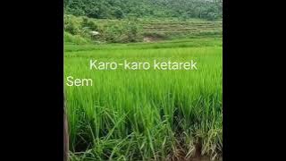 Lagu Marga-Marga(lirik) latar Situ Cileunca sungai palayangan.