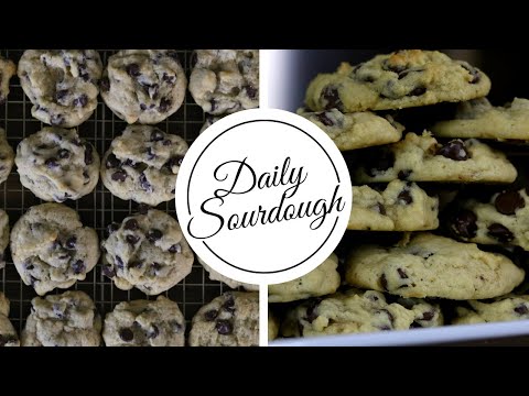 Sourdough Chocolate Chip