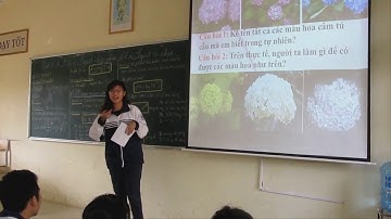 Ứng dụng 3: Ứng dụng của hàm logarit vào xác định độ pH của đất, nước