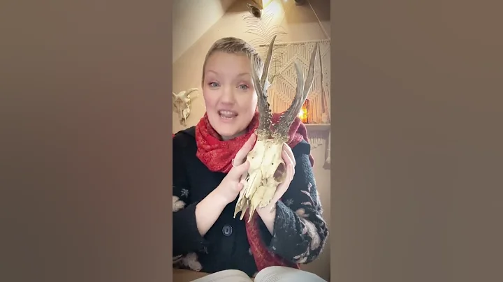 Deer Spirit Animal in Celtic Shamanism