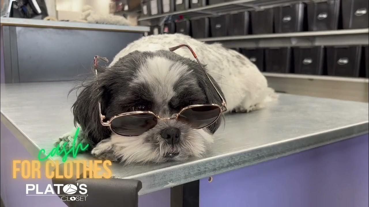 How to Sell to Plato's Closet YouTube