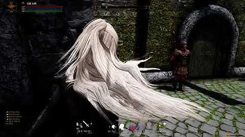 SKYRIM Dual Wield Sword Animation / 스카이림 쌍수 애니메이션