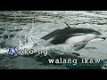 James Wright - Kung Hindi Ikaw (Karaoke/Lyrics/Instrumental)